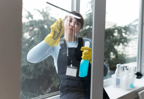 Nettoyage de vitres intérieures et extérieures à Tavant